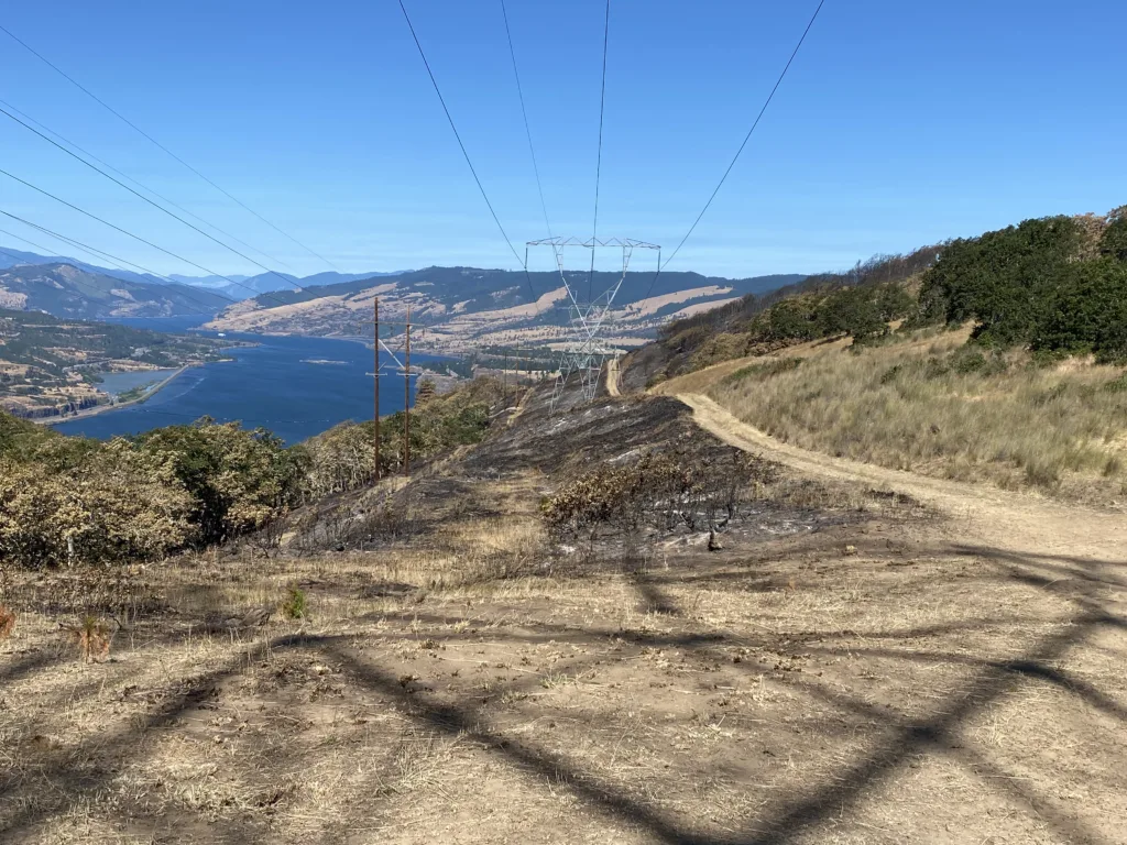 Scorched earth near the Lyle Cherry Orchard trail. (photographer: Sara Woods)