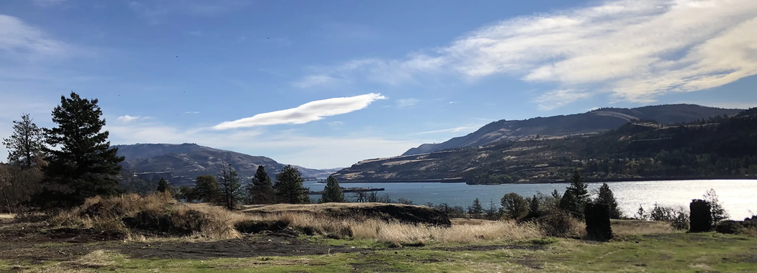 East-facing view from Friends of the Columbia Gorge Land Trust's recently acquired preserve at Catherine Creek. (photographer: Stan Hall)