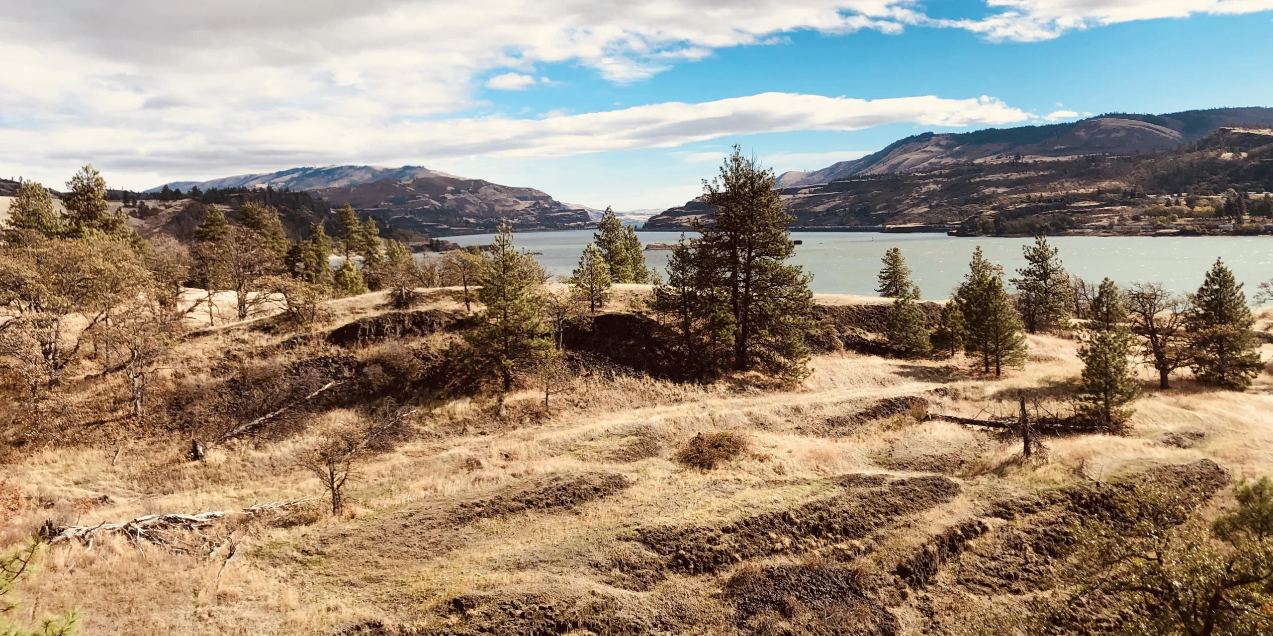 Riverside view from Catherine Creek, taken from universal access loop trail. Photo by Stan Hall.