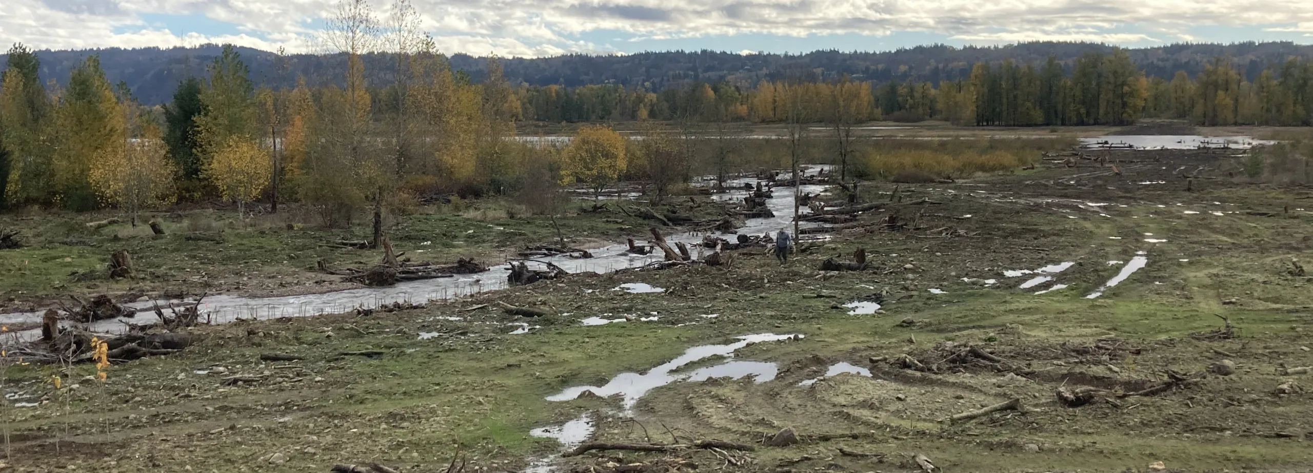 View of ongoing transformation at Steigerwald Lake National Wildlife Refuge. (photographer: Sarah Skelly)