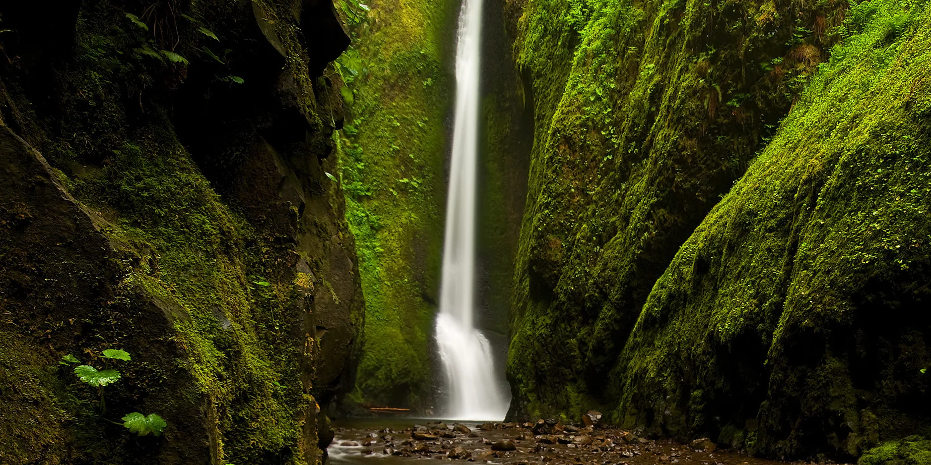 Lower Oneonta Falls. Photo by Jeremiah Leipold.