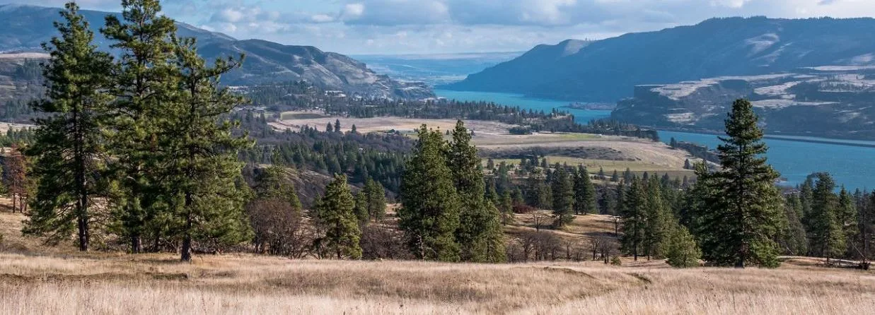 Columbia Gorge air quality would be compromised by emissions from the proposed Perennial Energy project in Hermiston, Oregon. View to the east from upper Catherine Creek. (photographer: Becky Kuperstein)