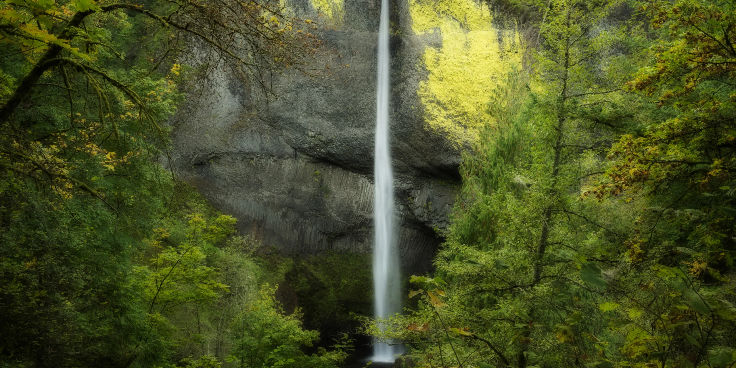 Lower Latourell Falls. Photo by Gary Quay.
