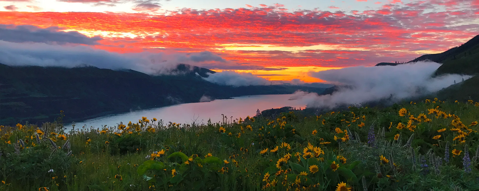 Sunrise from Rowena. Photo by Regis Krug.