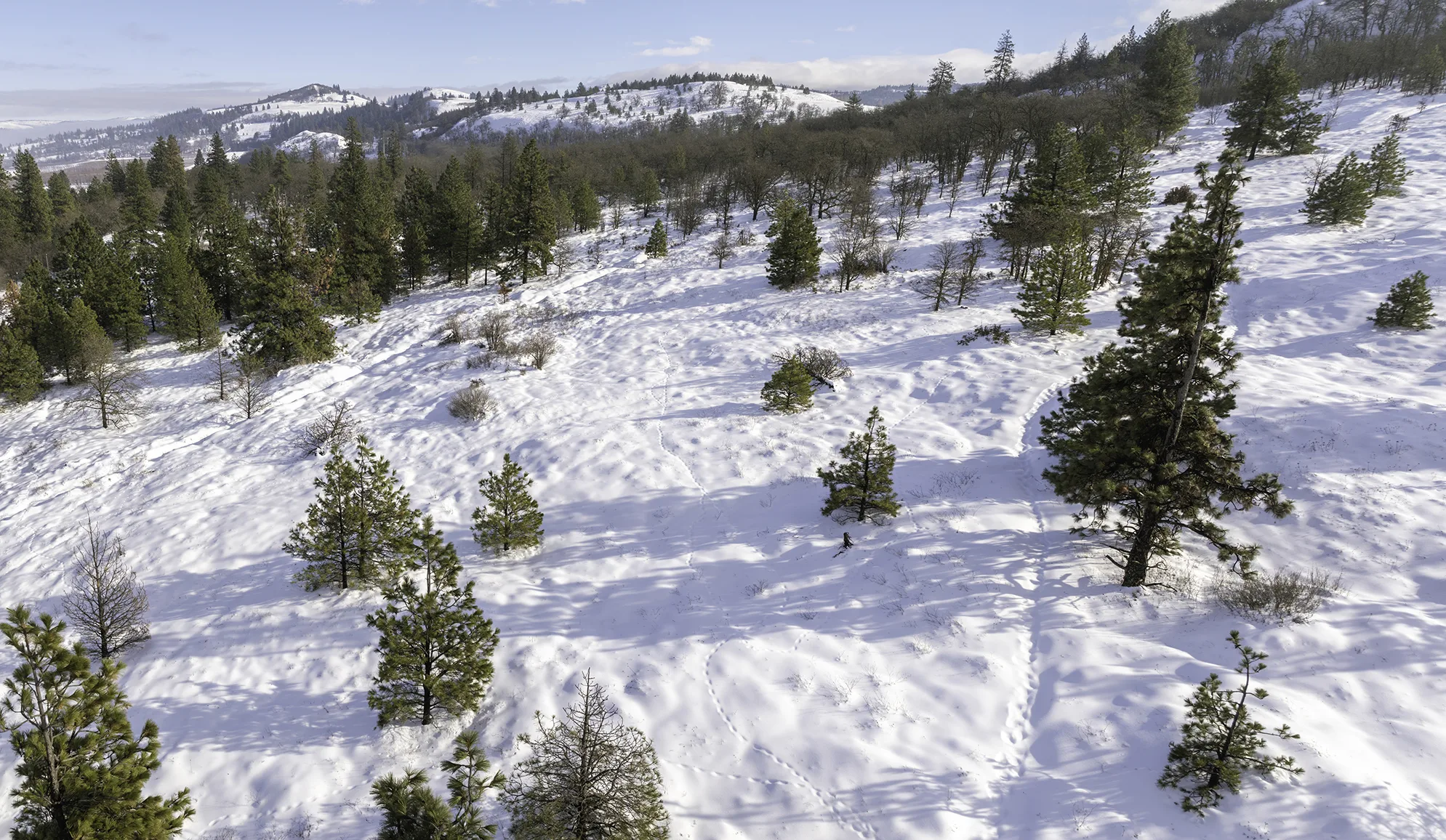 Mosier Plateau, acquired by Friends of the Columbia Gorge Land Trust in 2007 (Paloma Ayala)
