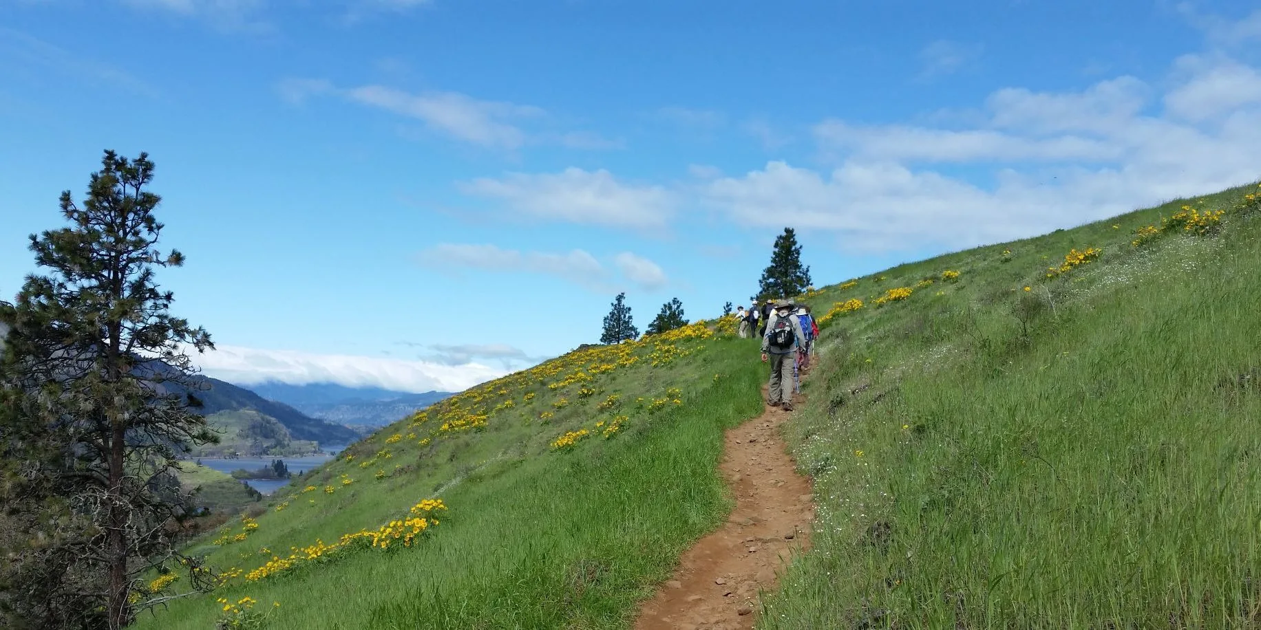 On the trail up Mosier Plateau. Photo by Anna Leung.