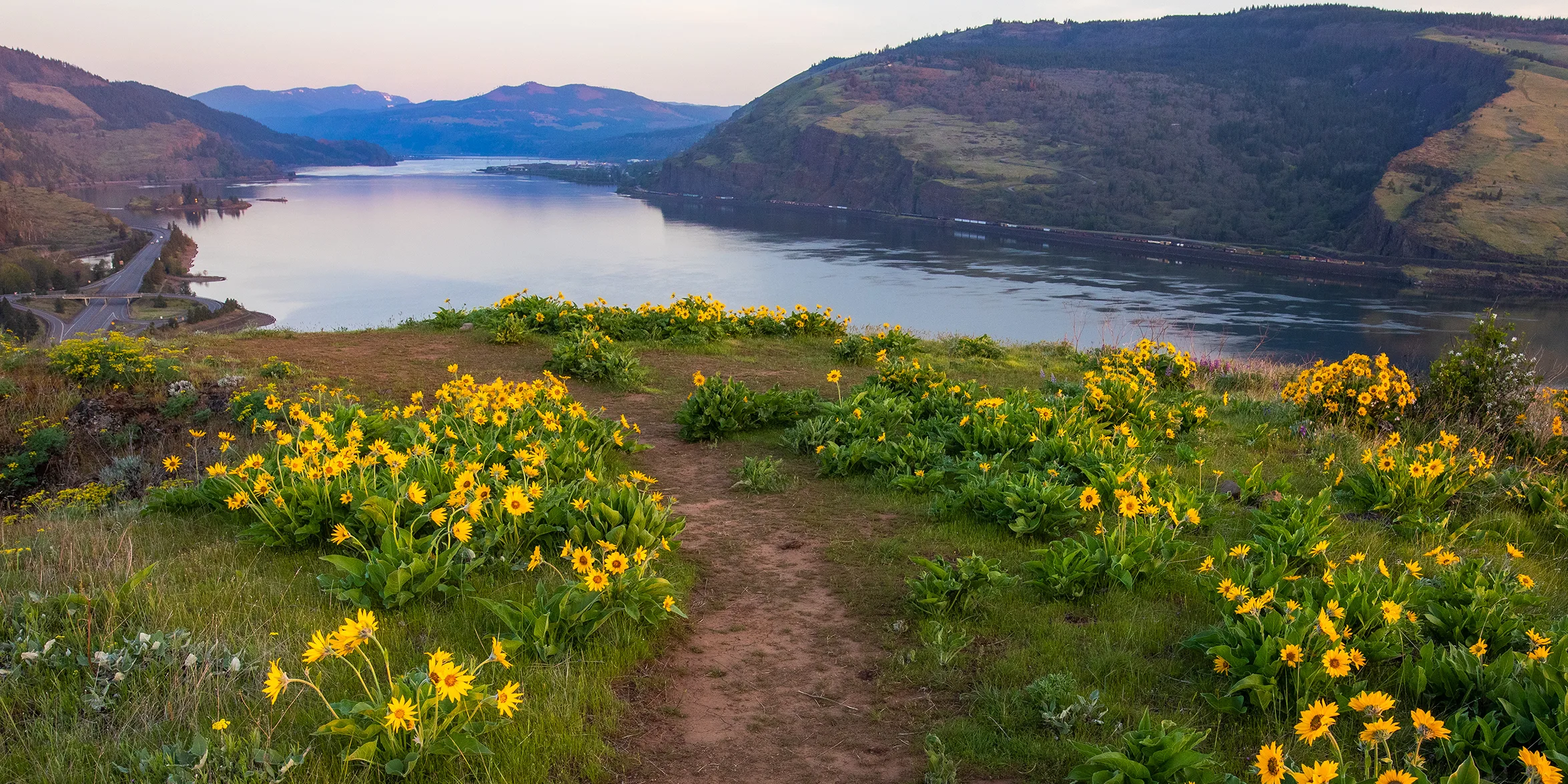 Mosier Plateau, one of the many beautiful landscapes between Mosier and The Dalles, OR, that will form a part of the eventual trail linking the two towns. (Cate Hotchkiss)