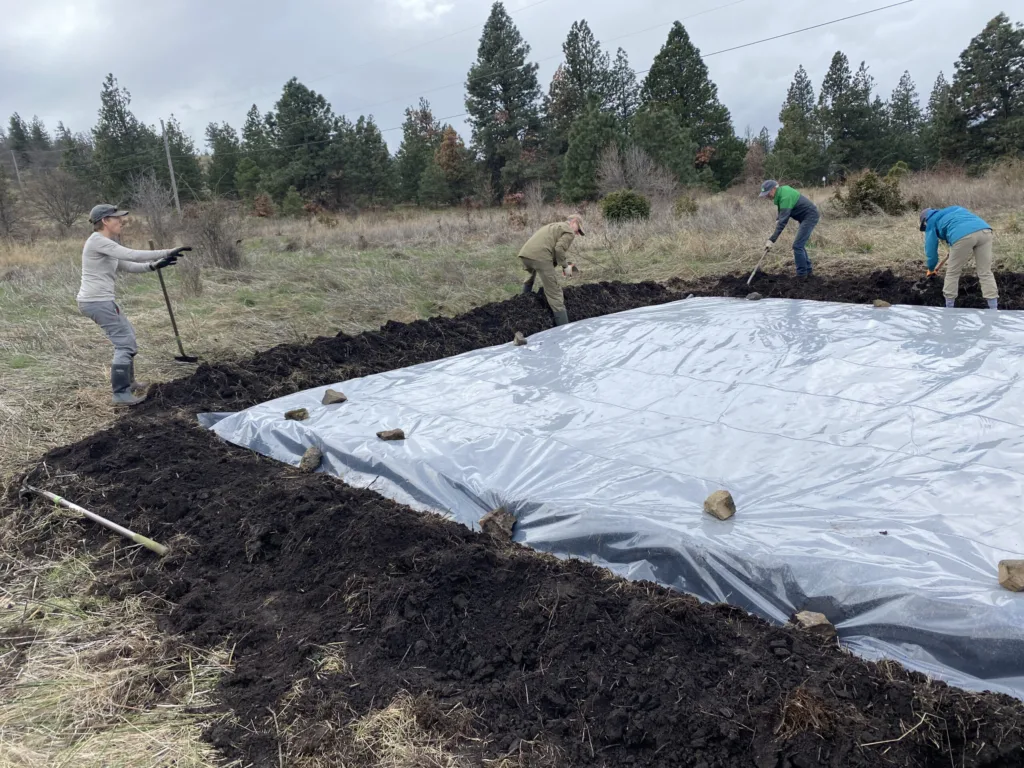 Solarization patch installation at Mosier Plateau. Photo by Frances Fischer.