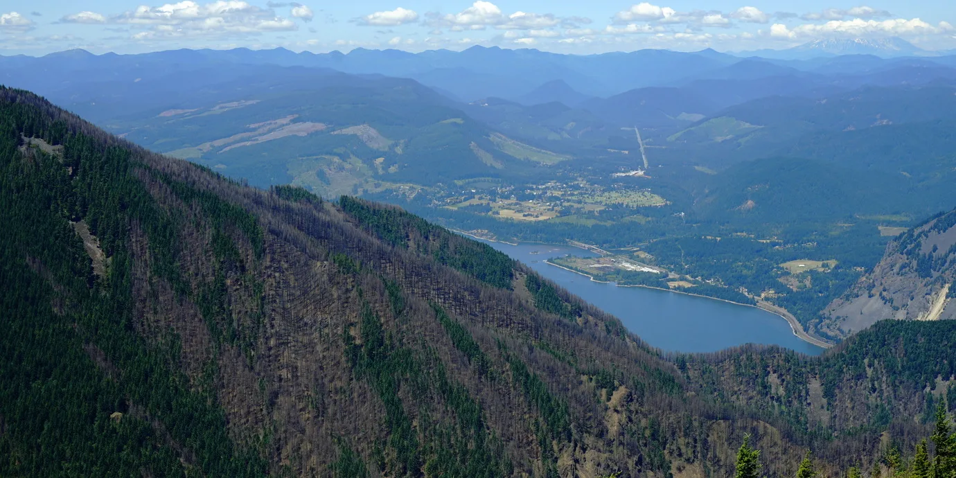 View from Mt. Defiance trail, one year after the 2017 Eagle Creek fire. Photo by Debbie Asakawa.