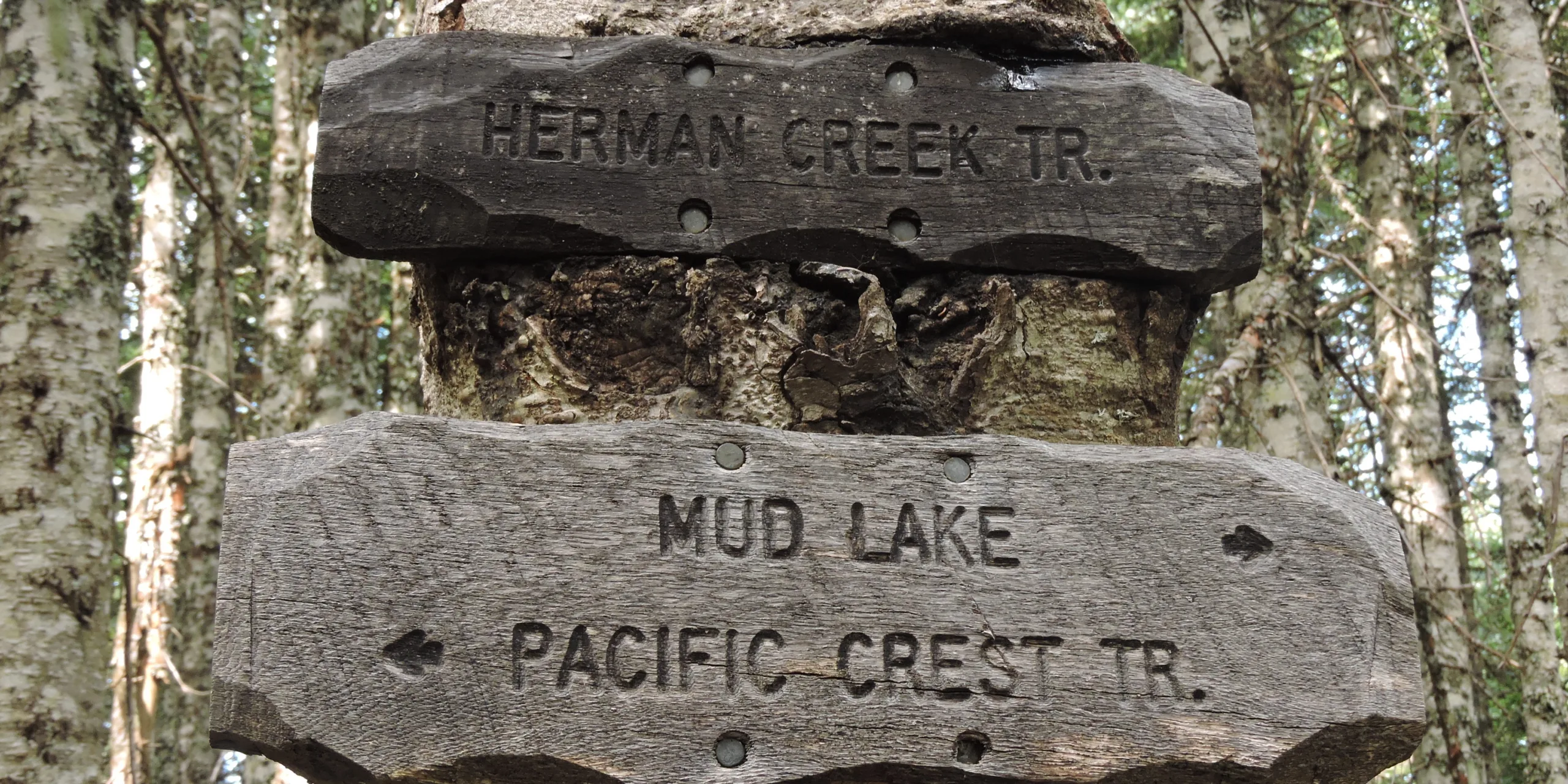 Herman Creek. Photo by Debbie Asakawa.