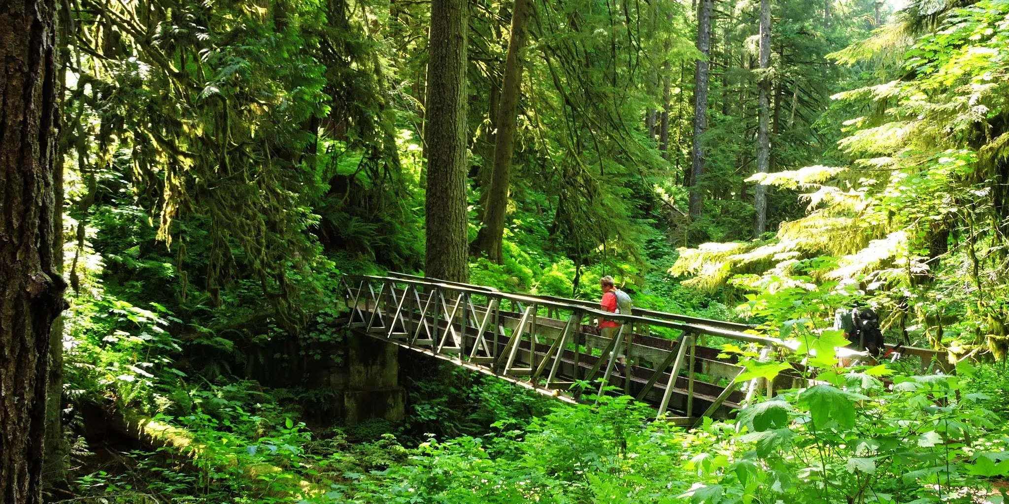 Bridge over Multnomah Creek on the trail to Franklin Ridge. Photo by Debbie Asakawa.