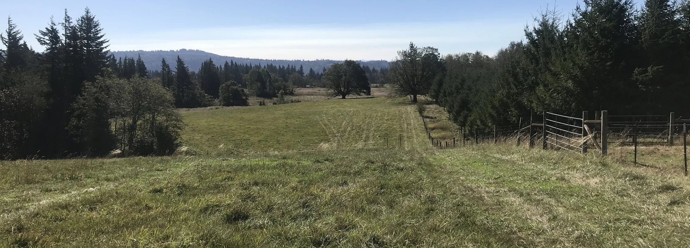 Norway Green, LLC proposed to build a 7,124-square-foot non-farm dwelling on this Gorge farmland. (photo: Clark County Community Development Department)