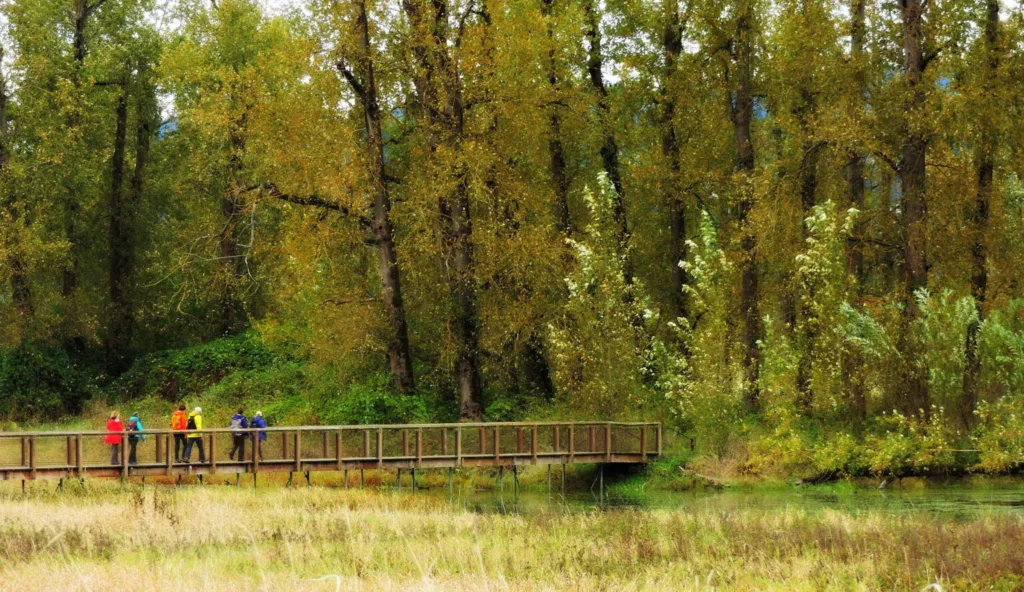 Gibbons Creek Trail at Steigerwald. Photo by Debbie Asakawa.