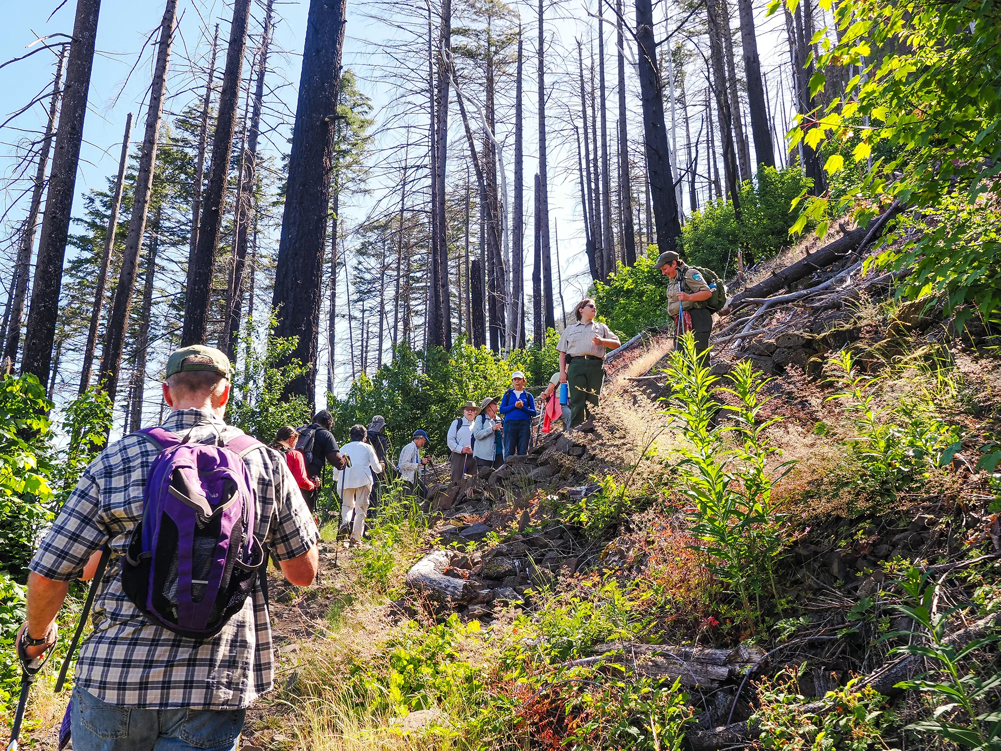 An outing at Upper McCord Falls Trail, the