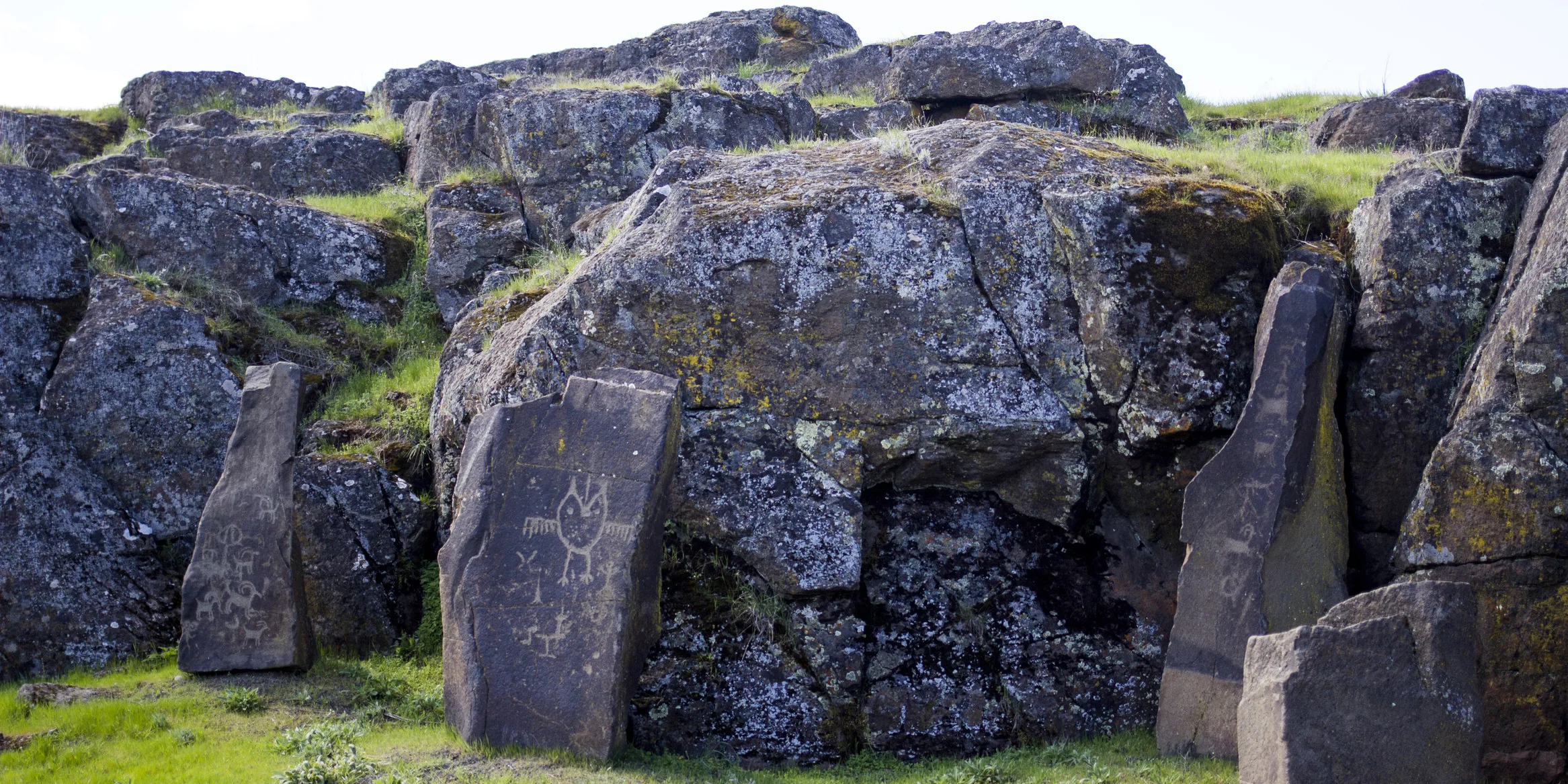 Petroglyphs at Columbia Hills State Park. Photo by Junelle Lawry.