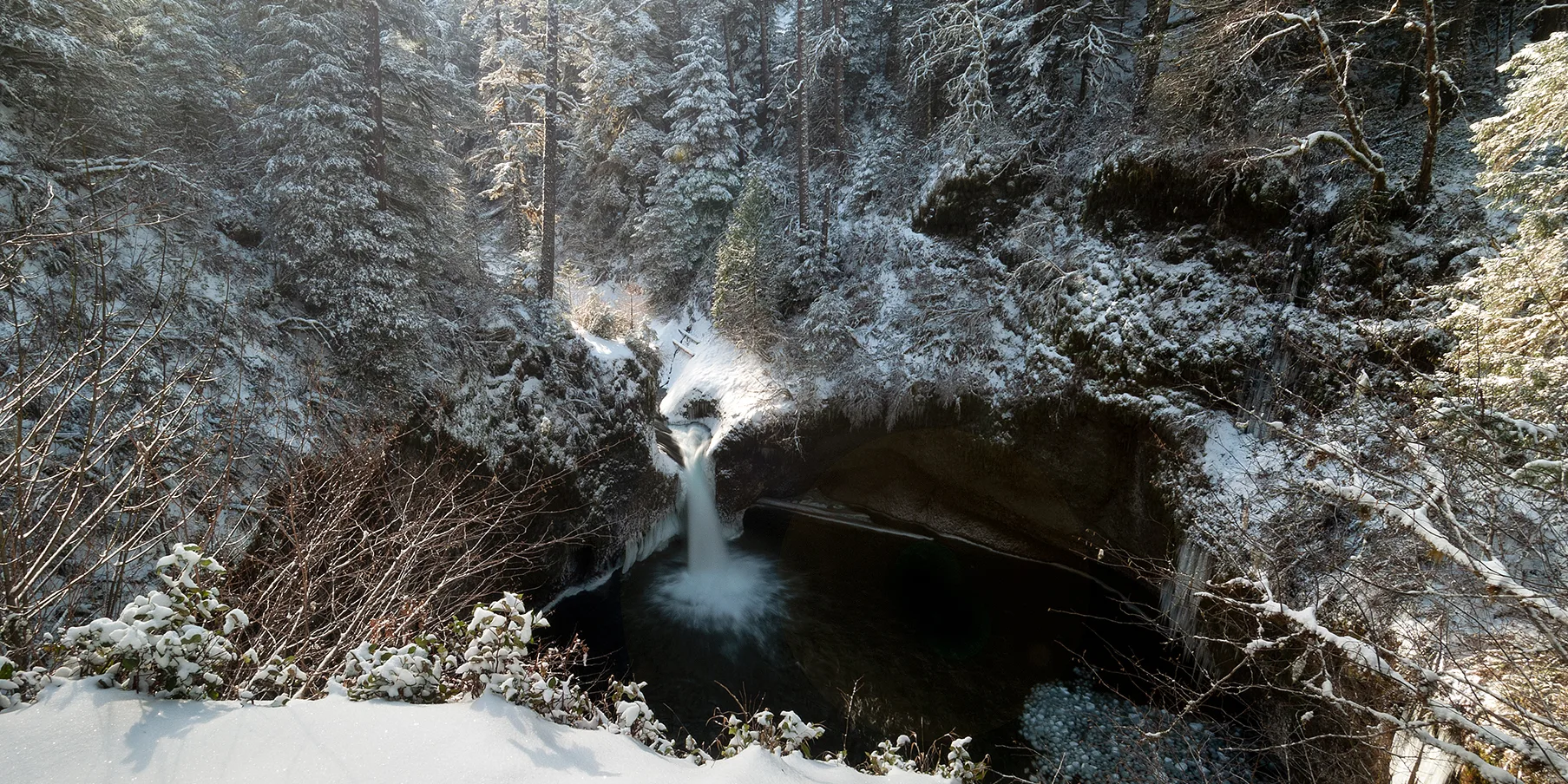 View from Punch Bowl Falls Overlook along Eagle Creek trail. Photo by Jeremiah Leipold.
