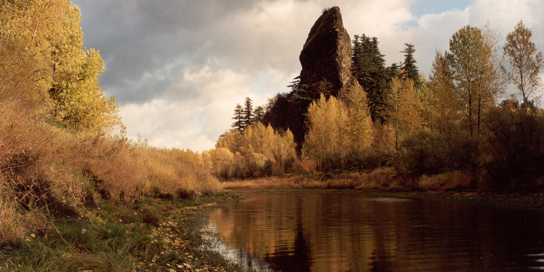 Autumn colors on the slough west of Rooster Rock. Photo by Oliver Dalton.
