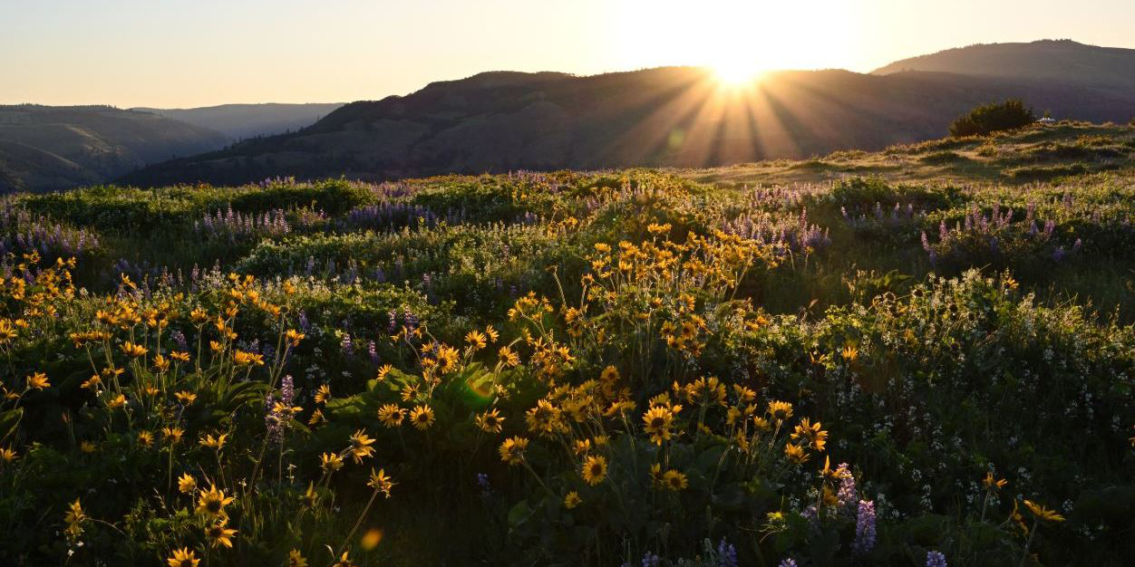 Spring sunrise at Rowena Plateau. Photo by Ed Cleary.