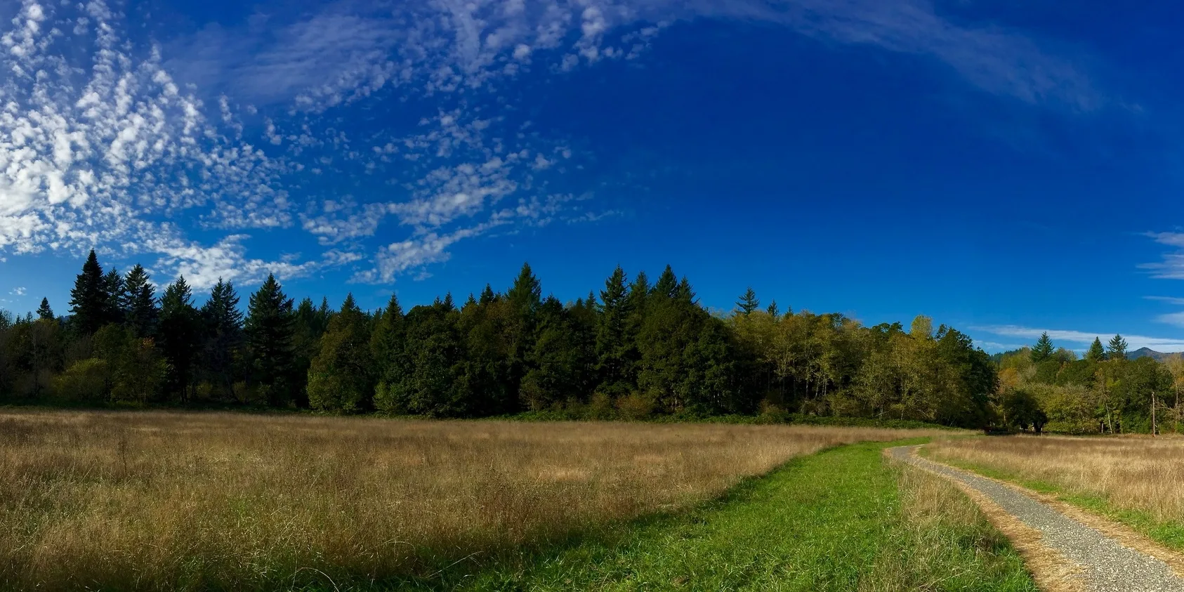 Sams Walker trail. Photo by Joan Amero.
