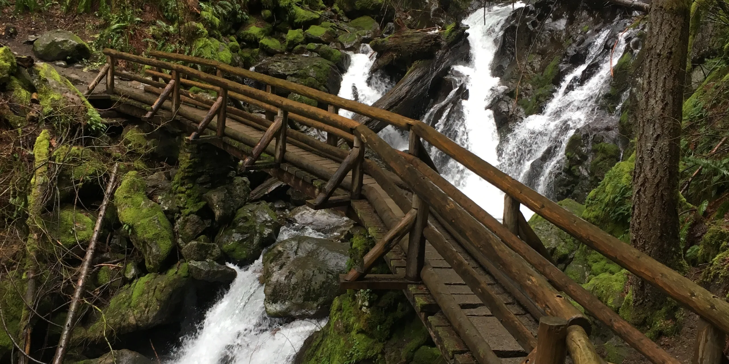 Hardy Falls. Photo by Lynette Roberts.