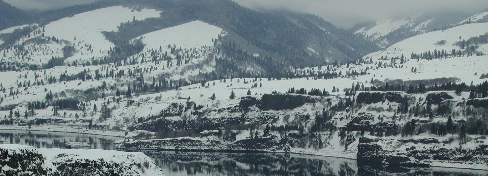 Major Creek canyon, zoned SMA Open Space, is supposed to be off-limits to commercial logging. (photographer: Kevin Gorman)
