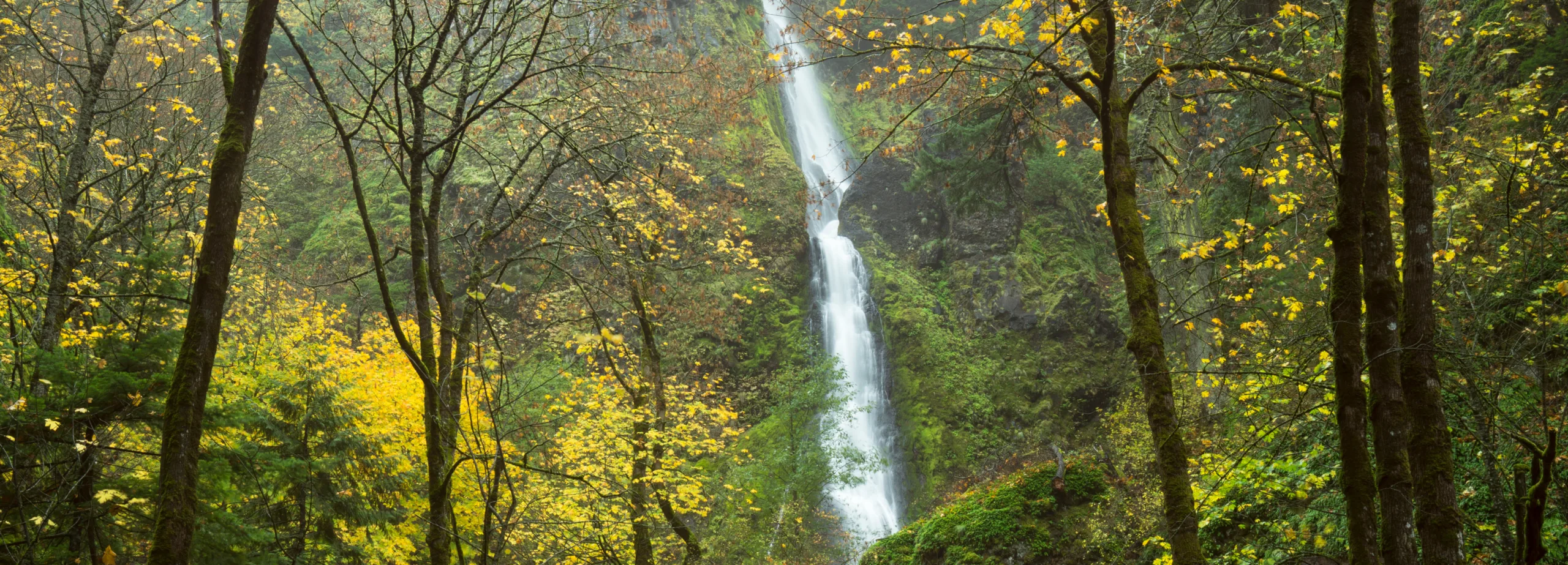 Starvation Creek Falls. Photo by Warren Morgan.