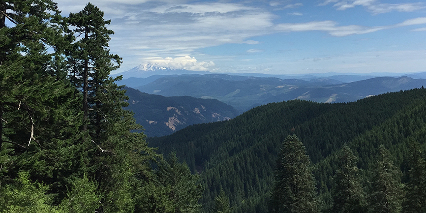 View from Starvation Ridge trail. Photo by Kate Lindberg.