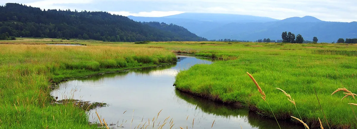 Steigerwald Lake. Photo by Debbie Asakawa.