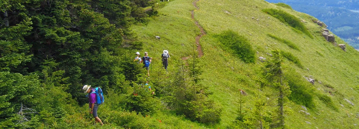 On trail from Table Mountain to Heartbreak Ridge. Photo by Debbie Asakawa.