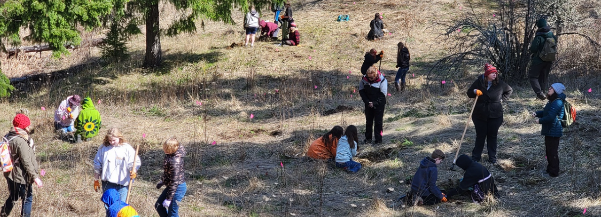 Wind River Middle School students help improve habitat around Collins Pond by planting around 500 wildflowers that will increase pollinator diversity. (photographer: Rachel Prince)