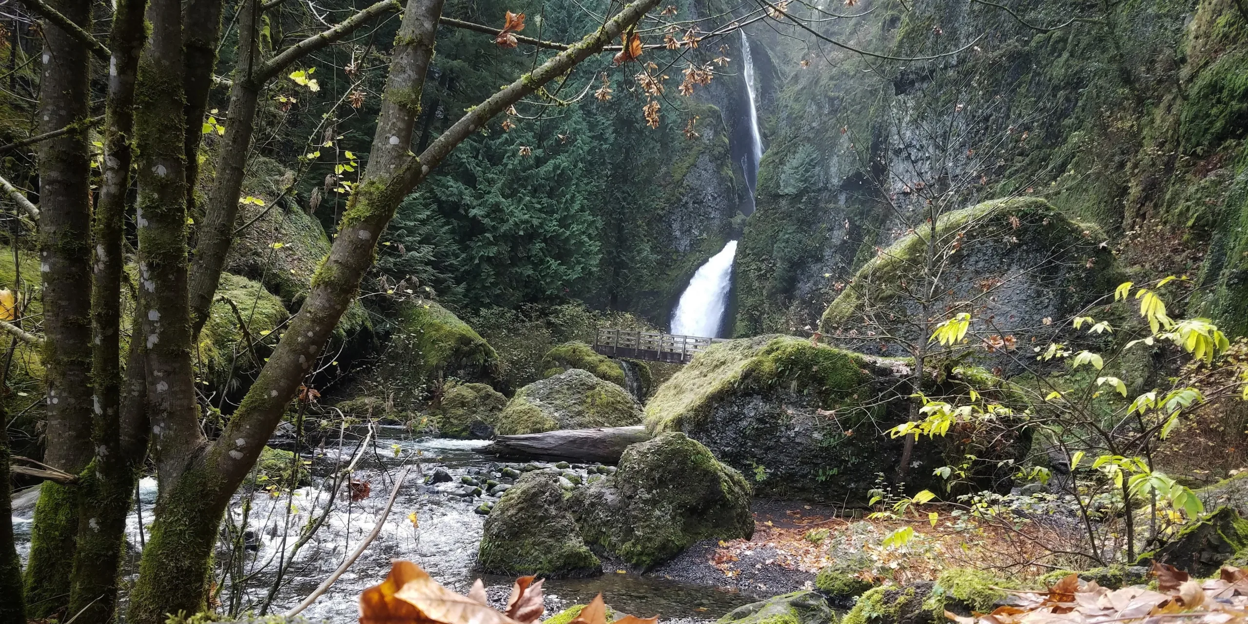 Autumn scene at Wahclella Falls. Photo by Trevor Leahy.