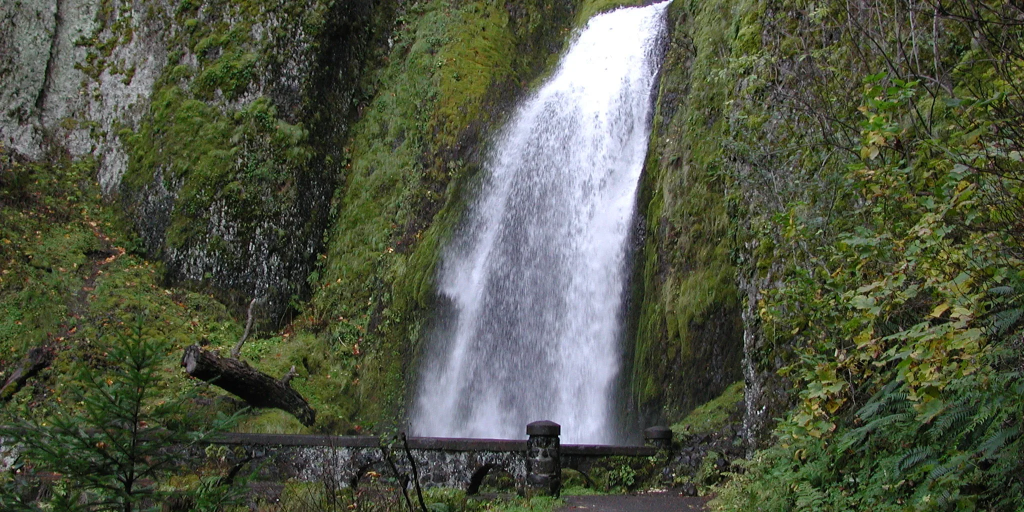 Wahkeena Falls. Photo from Friends' archive.