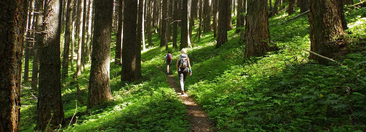 On the Wauna Point trail. Photo by Debbie Asakawa.