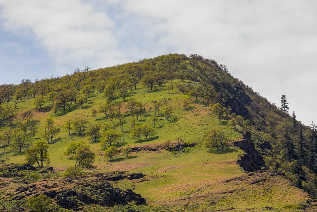 Pictured here, Mt. Ulka will connect the Discovery Center to The Dalles Riverfront Trail. Photo by Cate Hotchkiss.
