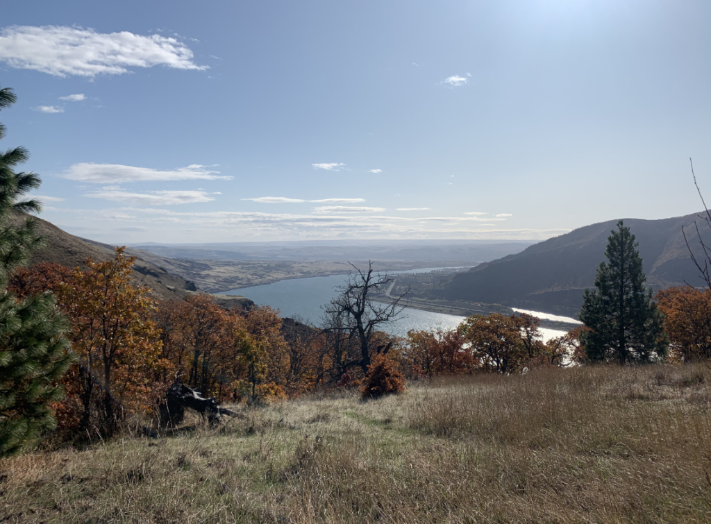 View looking east from Lyle Cherry Orchard. (photographer: Gabe Smith)