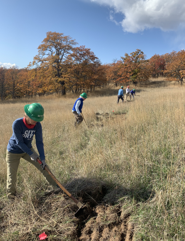 Washington Trails Association volunteers building trail at Lyle Cherry Orchard. (photographer: Brandon Tigner)
