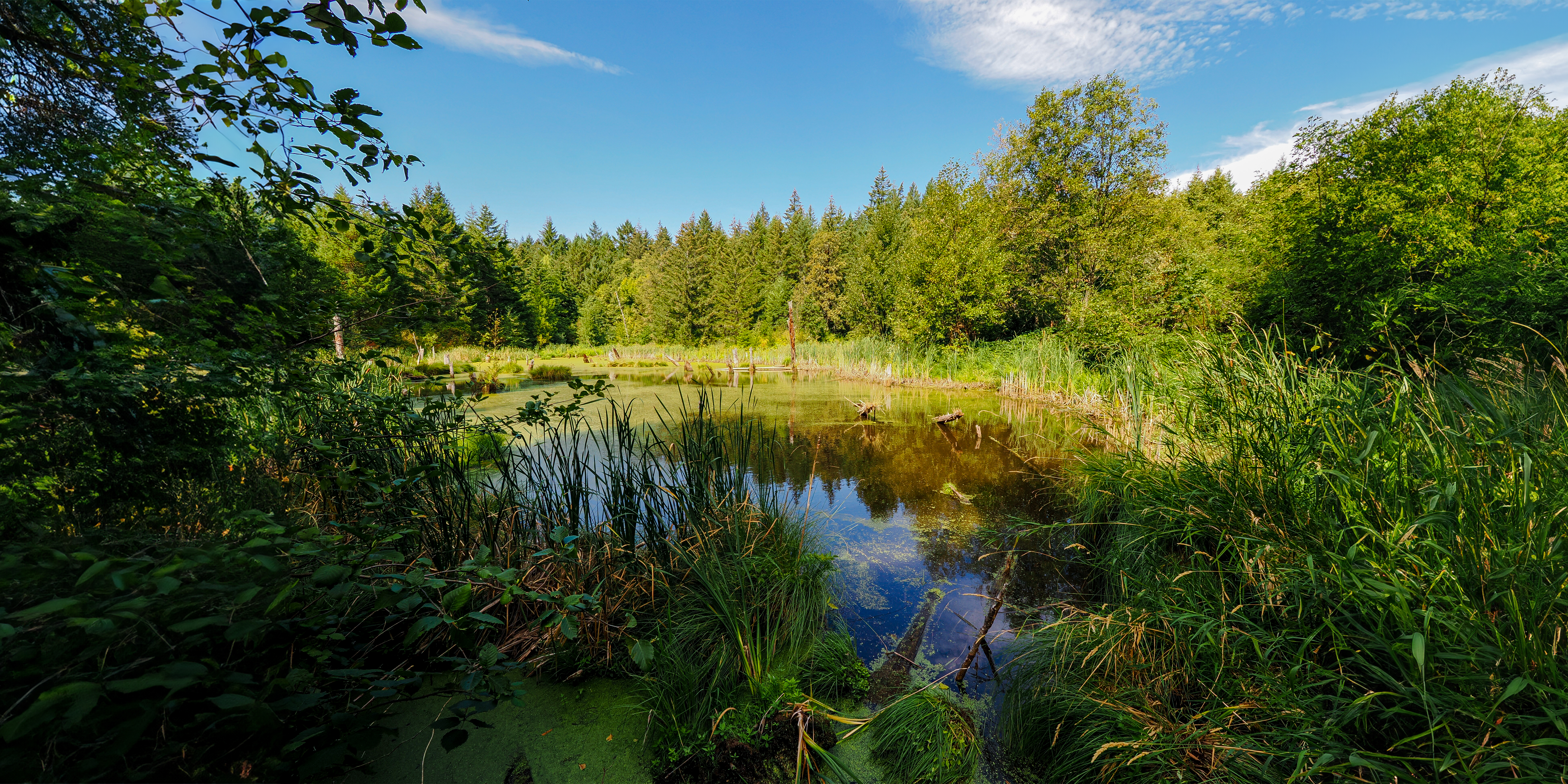 Alashík Preserve. Photo by Monique Trevett.