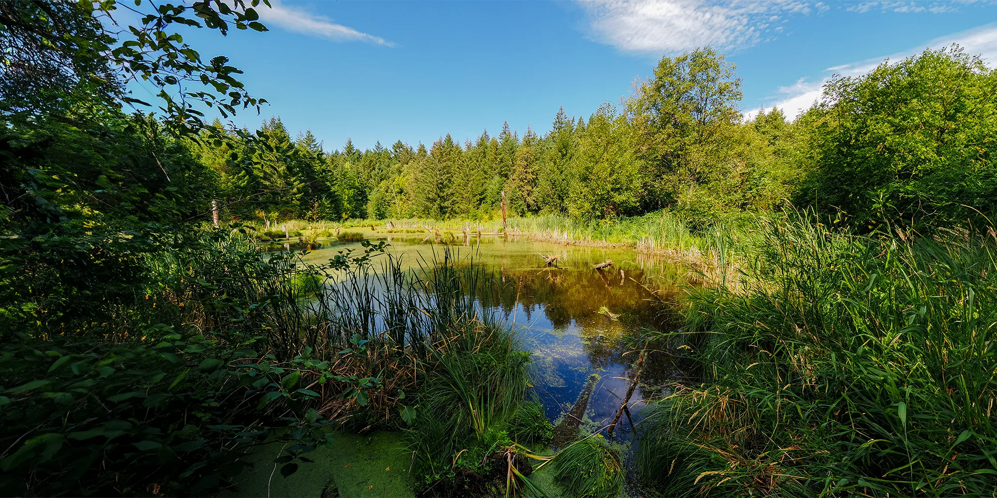 Alashík Preserve. Photo by Monique Trevett.