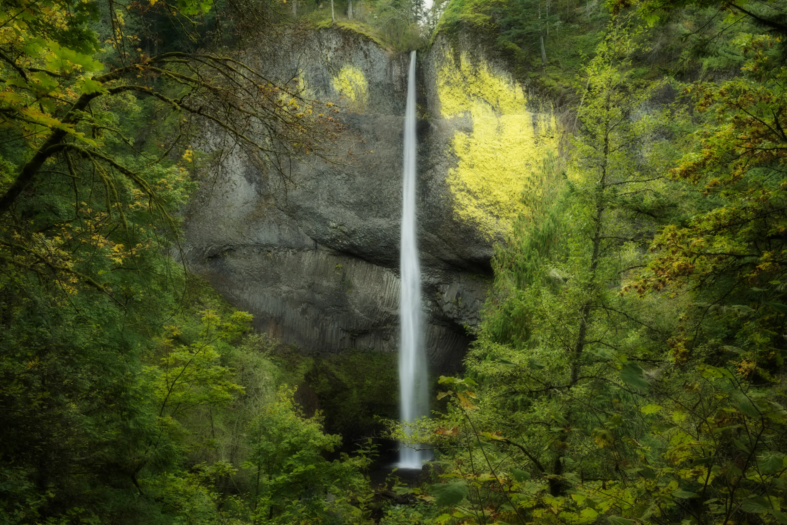 Cascading waterfall through a lush green forest.