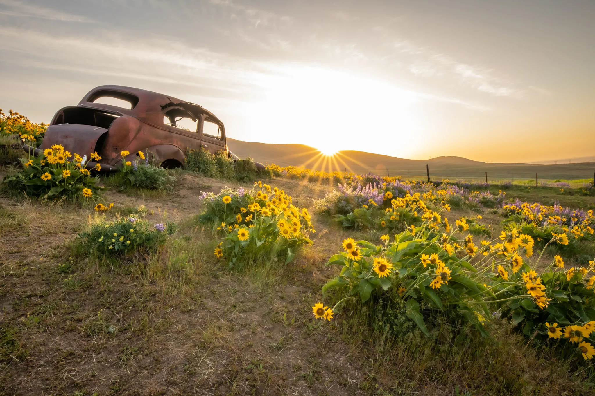 Dalles Mountain Ranch. Photo by Justin Bernal.