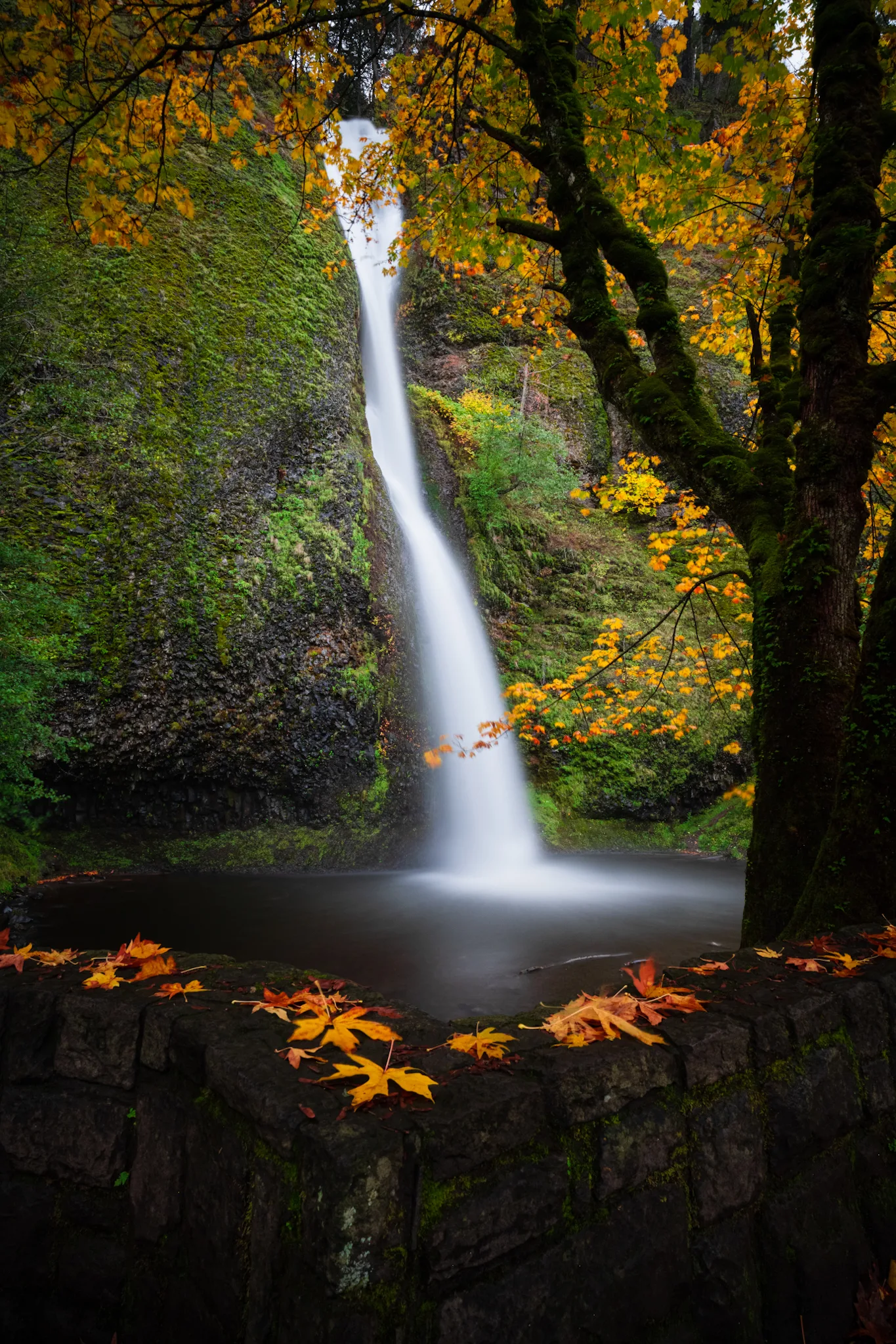 Horsetail Falls in autumn. Photo by Kyle Rosso.