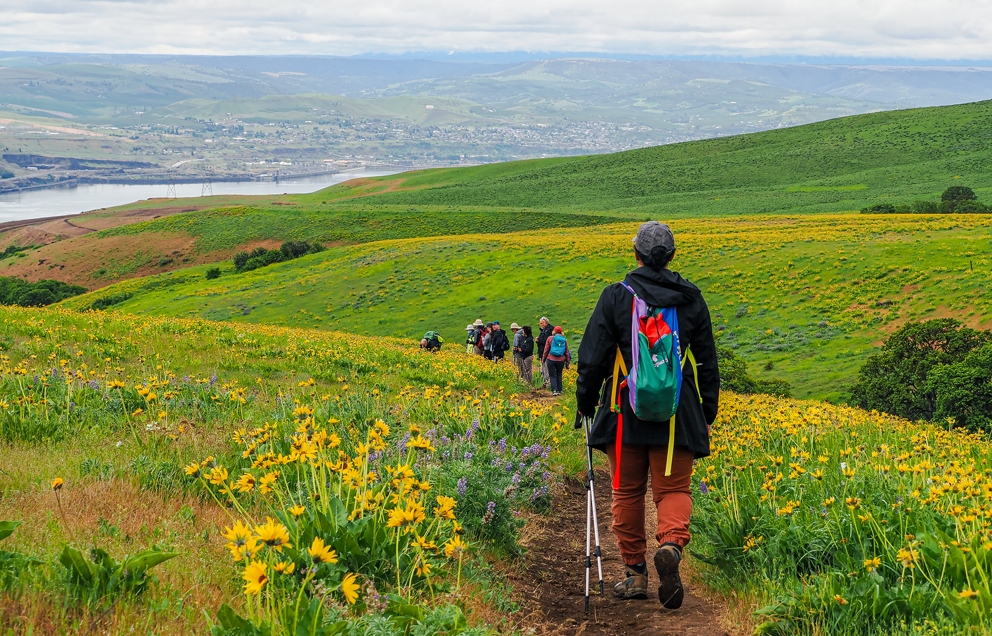 Wildflowers at Dalles Mountain Ranch. Photo by Monique Trevett.