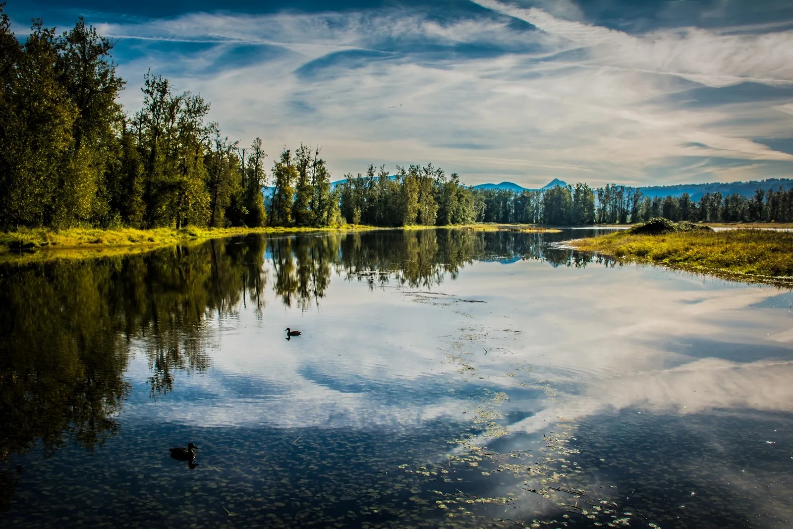 Steigerwald Lake National Wildlife Refuge. Photo by Kate Green.