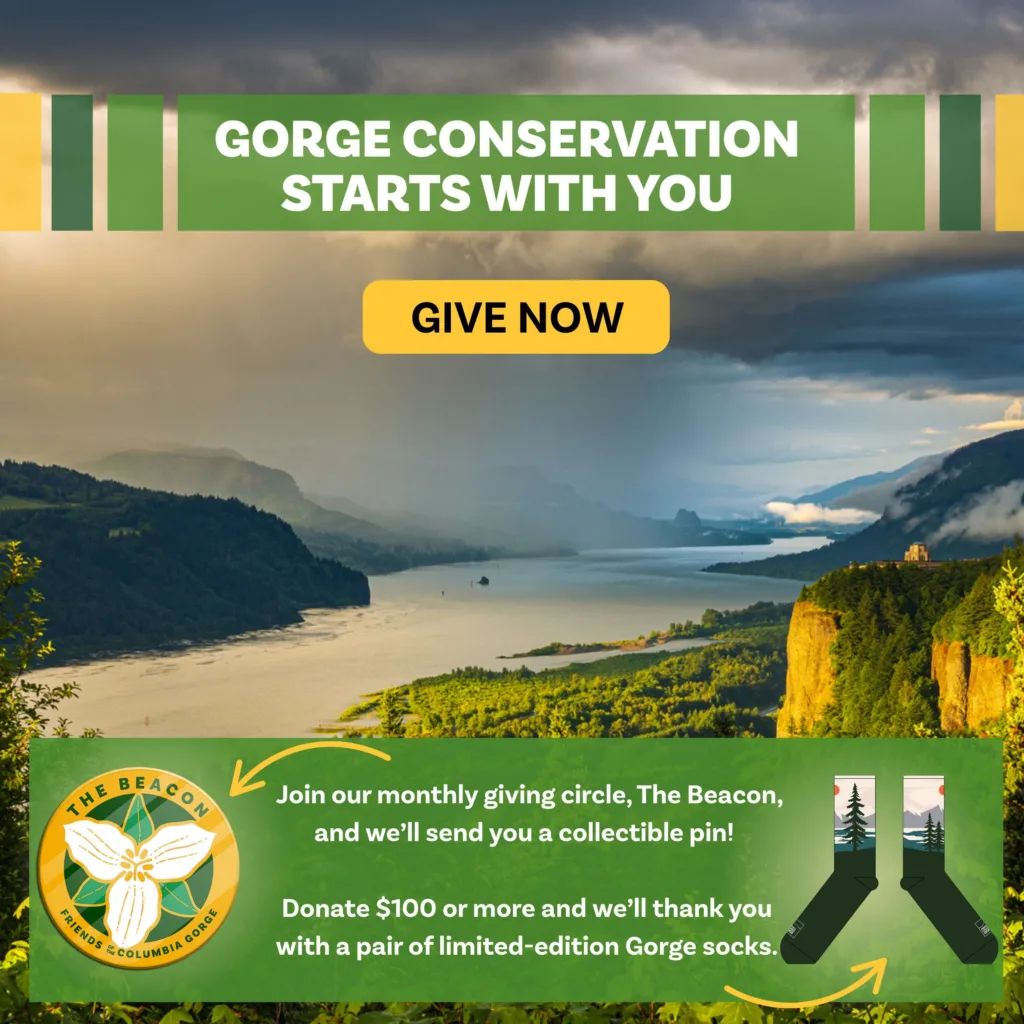 Gorge conservation starts with you. Join our monthly giving circle, The Beacon, and we'll send you a collectible pin! Donate $100 or more and we'll thank you with a pair of limited-edition socks.