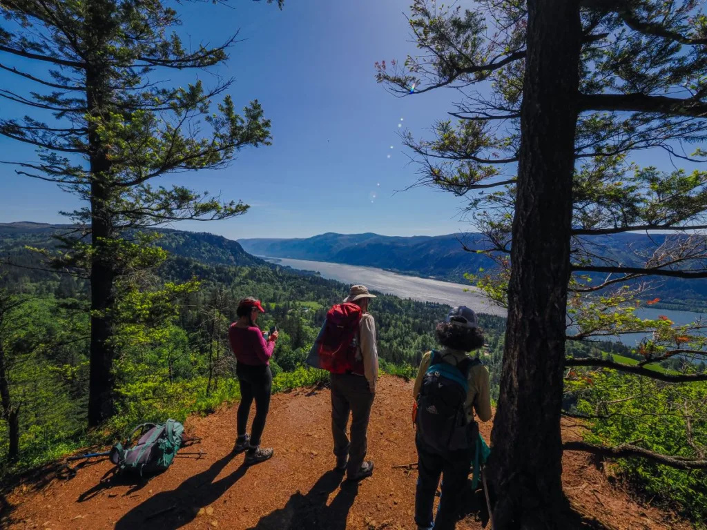 Three people standing on brown forest floor overlooking a green forest and the columbia river far in the background
